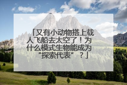 又有小动物搭上载人飞船去太空了！为什么模式生物能成为“探索代表”？