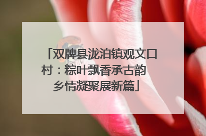 双牌县泷泊镇观文口村：粽叶飘香承古韵 乡情凝聚展新篇