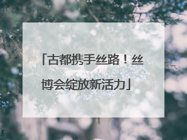 古都携手丝路！丝博会绽放新活力
