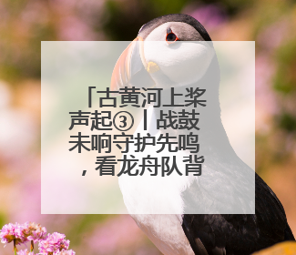 古黄河上桨声起③丨战鼓未响守护先鸣，看龙舟队背后的 “无声战队”