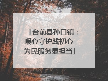 台前县孙口镇：暖心守护践初心 为民服务显担当