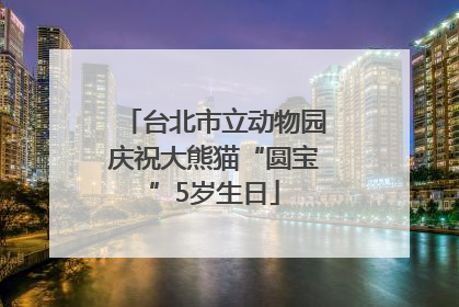 台北市立动物园庆祝大熊猫“圆宝”5岁生日