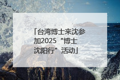 台湾博士来沈参加2025“博士沈阳行”活动