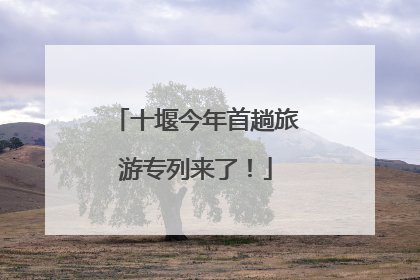 十堰今年首趟旅游专列来了！