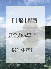 十堰市郧西县全力抗旱“稳”生产