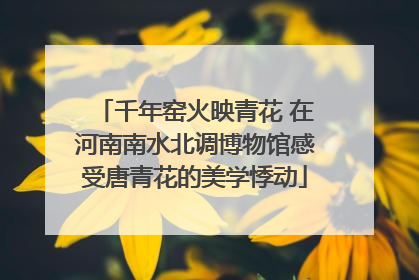 千年窑火映青花 在河南南水北调博物馆感受唐青花的美学悸动