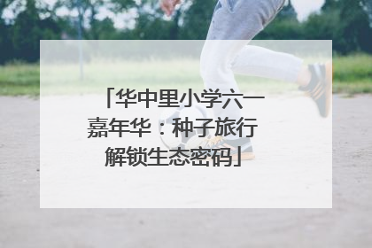 华中里小学六一嘉年华：种子旅行解锁生态密码