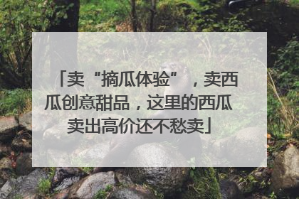 卖“摘瓜体验”，卖西瓜创意甜品，这里的西瓜卖出高价还不愁卖