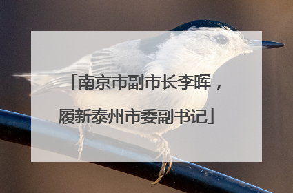 南京市副市长李晖，履新泰州市委副书记