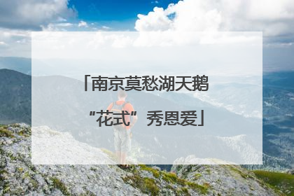 南京莫愁湖天鹅“花式”秀恩爱