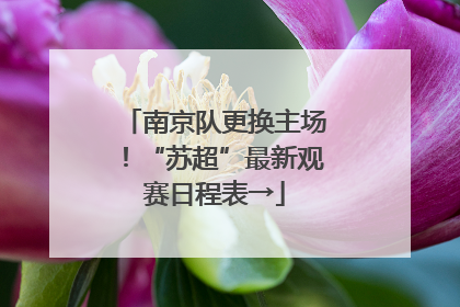 南京队更换主场！“苏超”最新观赛日程表→