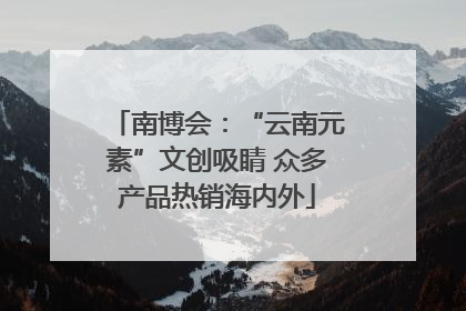 南博会：“云南元素”文创吸睛 众多产品热销海内外