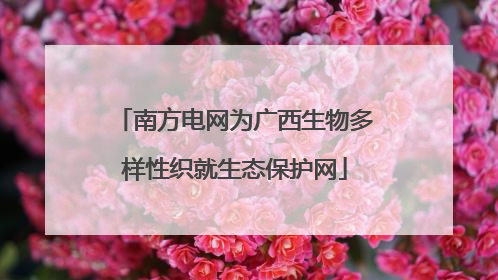 南方电网为广西生物多样性织就生态保护网