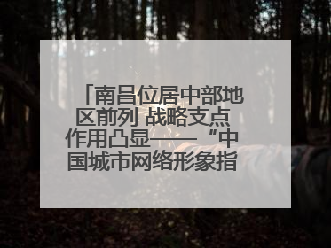 南昌位居中部地区前列 战略支点作用凸显——“中国城市网络形象指数”发布