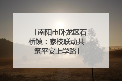 南阳市卧龙区石桥镇：家校联动共筑平安上学路
