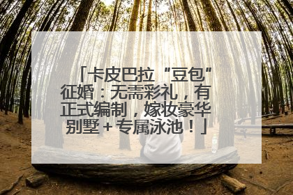 卡皮巴拉“豆包”征婚：无需彩礼，有正式编制，嫁妆豪华别墅＋专属泳池！