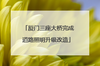 厦门三座大桥完成道路照明升级改造