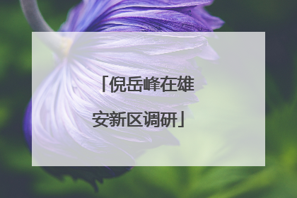倪岳峰在雄安新区调研