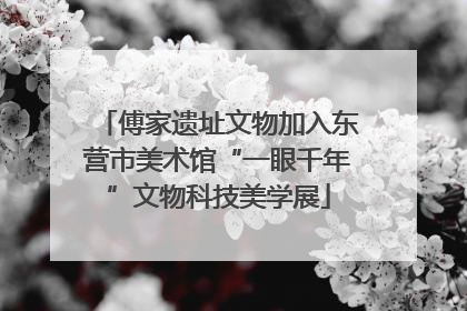 傅家遗址文物加入东营市美术馆“一眼千年”文物科技美学展