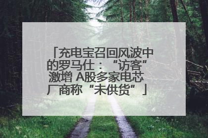 充电宝召回风波中的罗马仕：“访客”激增 A股多家电芯厂商称“未供货”
