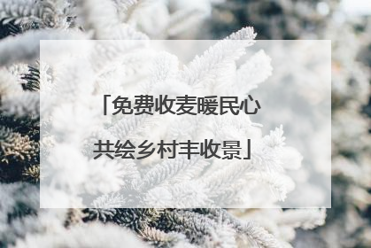 免费收麦暖民心 共绘乡村丰收景
