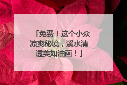 免费！这个小众凉爽秘境，溪水清透美如油画！