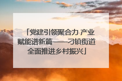党建引领聚合力 产业赋能谱新篇——刁镇街道全面推进乡村振兴