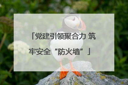 党建引领聚合力 筑牢安全“防火墙”