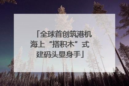 全球首创筑港机海上“搭积木”式建码头显身手