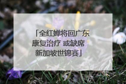 全红婵将回广东康复治疗 或缺席新加坡世锦赛