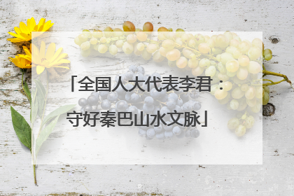 全国人大代表李君：守好秦巴山水文脉