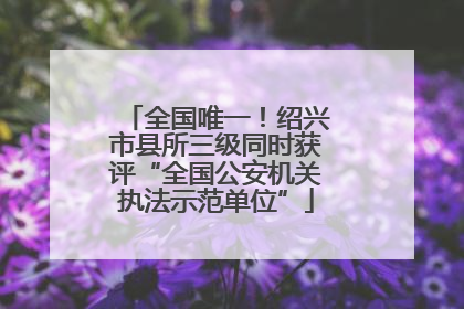 全国唯一！绍兴市县所三级同时获评“全国公安机关执法示范单位”
