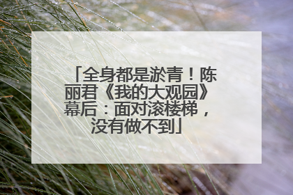 全身都是淤青！陈丽君《我的大观园》幕后：面对滚楼梯，没有做不到