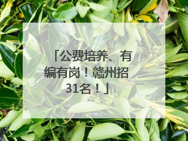 公费培养、有编有岗！赣州招31名！