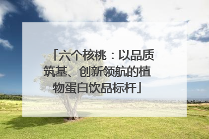六个核桃：以品质筑基、创新领航的植物蛋白饮品标杆