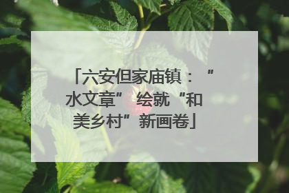 六安但家庙镇：“水文章” 绘就“和美乡村”新画卷