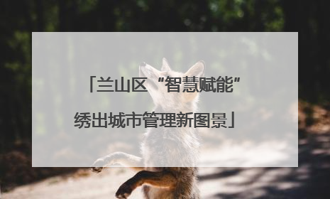 兰山区“智慧赋能”绣出城市管理新图景