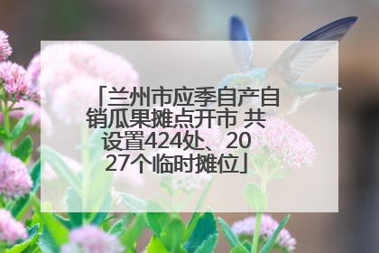 兰州市应季自产自销瓜果摊点开市 共设置424处、2027个临时摊位