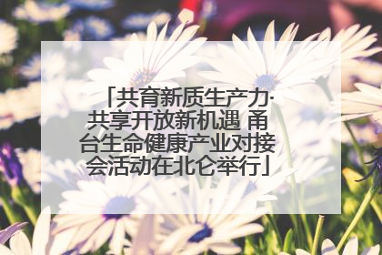 共育新质生产力·共享开放新机遇 甬台生命健康产业对接会活动在北仑举行