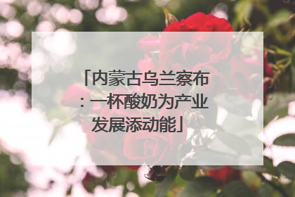 内蒙古乌兰察布：一杯酸奶为产业发展添动能