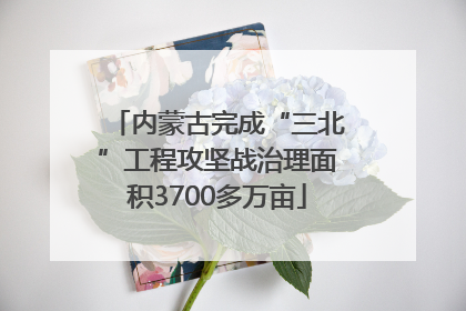 内蒙古完成“三北”工程攻坚战治理面积3700多万亩
