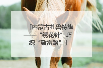 内蒙古扎鲁特旗——“绣花针”巧织“致富路”