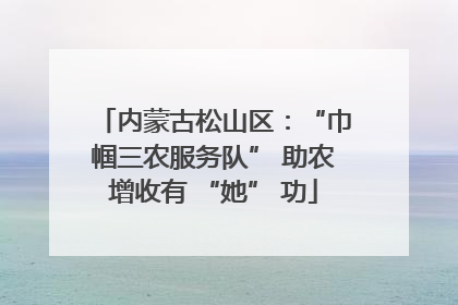 内蒙古松山区：“巾帼三农服务队” 助农增收有 “她” 功