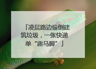 凌晨路边偷倒建筑垃圾，一张快递单“露马脚”