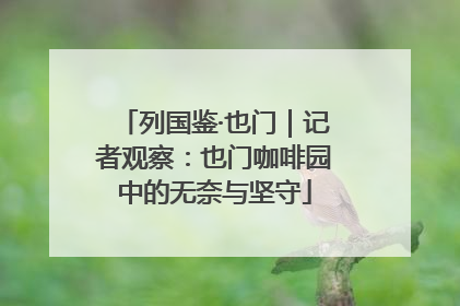 列国鉴·也门｜记者观察：也门咖啡园中的无奈与坚守