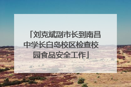 刘克斌副市长到南昌中学长白岛校区检查校园食品安全工作