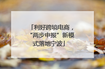 利好跨境电商，“两步申报”新模式落地宁波