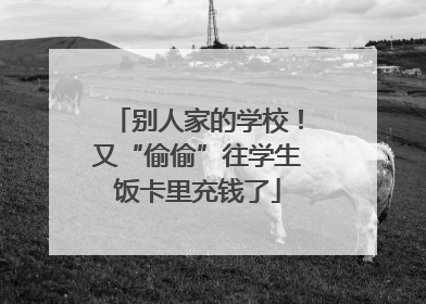 别人家的学校！又“偷偷”往学生饭卡里充钱了