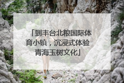 到丰台北粮国际体育小镇，沉浸式体验青海玉树文化