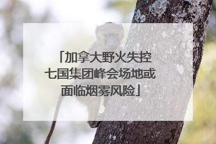 加拿大野火失控 七国集团峰会场地或面临烟雾风险